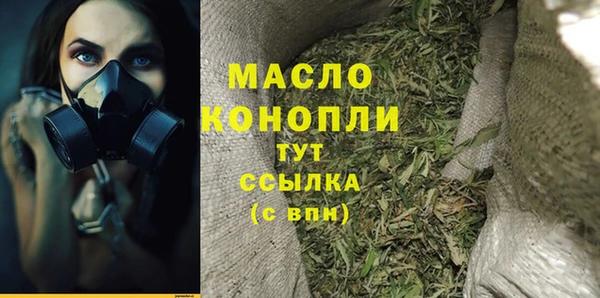 стаф Вязьма